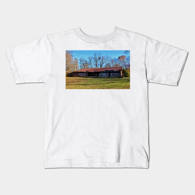 Rustic Shed Kids T-Shirt by Cynthia48